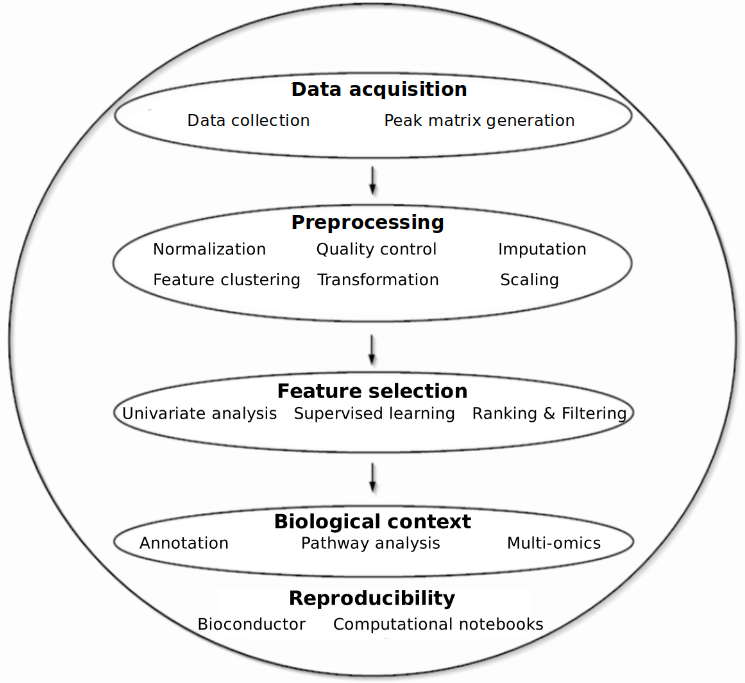 Overview of untargeted LC-MS metabolomics data analysis.